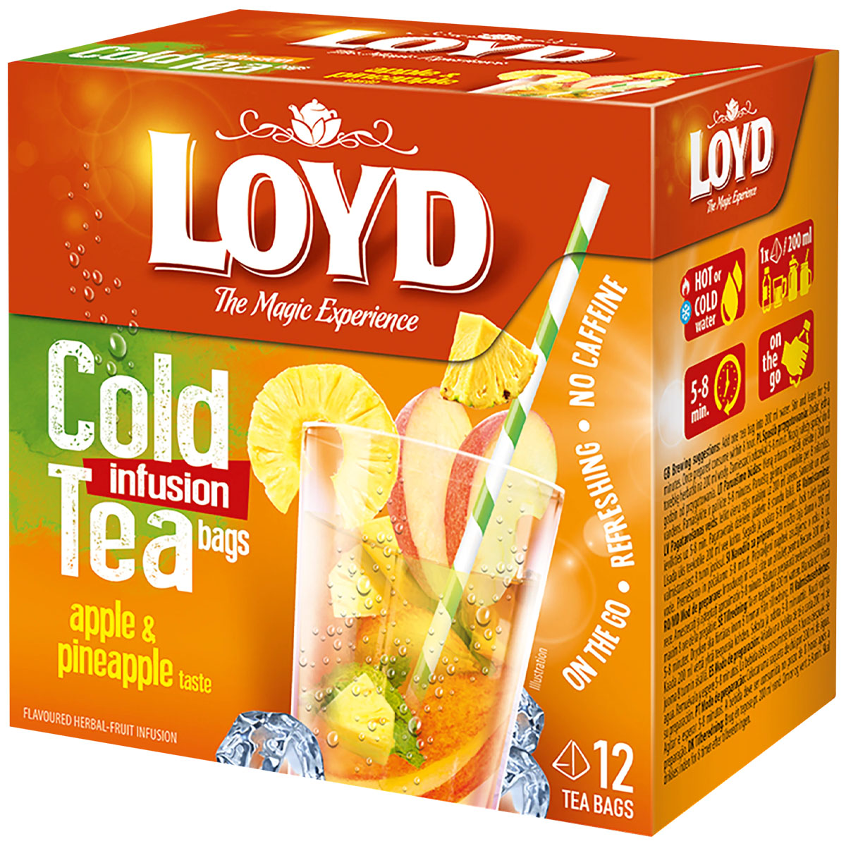 LOYD Cold infusion Tea bags Apple & Pineapple taste 12x2,5g